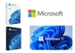 DirectX 12 Microsoft Windows 11 Professional 64-Bit USB Drive  Retail Box SKU-HAV-00029